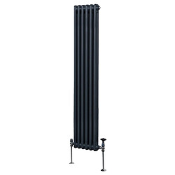Monstershop Radiateur Double Colonne