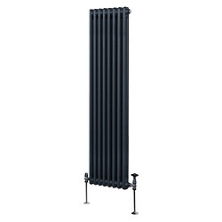 Monstershop Radiateur Double Colonne - Gris Anthracite