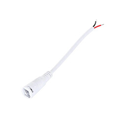 Ledkia Câble connexion jack femelle pour ruban LED 12V DC