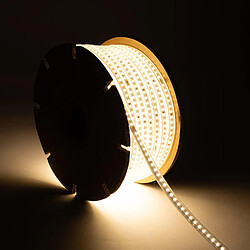 Ledkia Bobine de ruban LED 220V dimmable