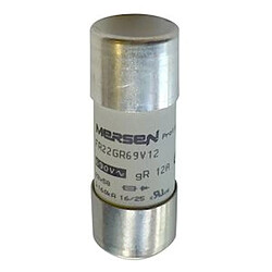 Mersen F1018629