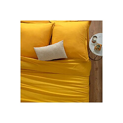 Housse de Couette Ocre