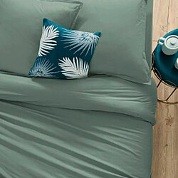 Housse de Couette - Céladon 240 x 220 cm
