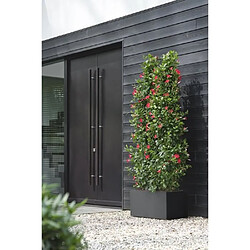 Acheter Elho Jardinière rectangle 80x40 cm noir