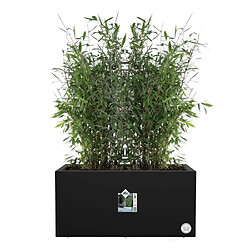 Avis Elho Jardinière rectangle 80x40 cm noir