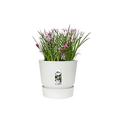 Acheter ELHO Greenville Round - Blanc