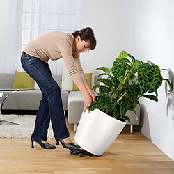 Avis Pot de fleurs rond plastique - Noir
