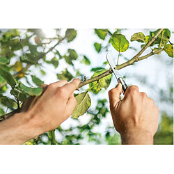 Avis Jardinière de jardin - Noir