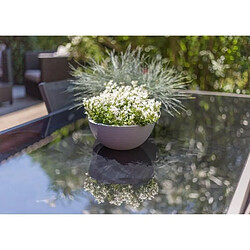 Avis Eda plastiques Pot de fleurs demi-rond - Anthracite