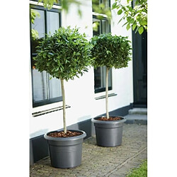 Elho pot de fleurs rond - Terracotta pas cher