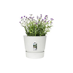 Avis ELHO Greenville Round - Blanc