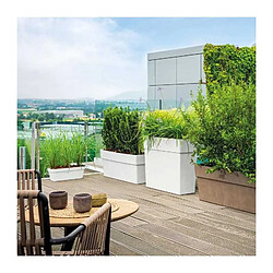 Acheter Deroma Jardinière rectangulaire - Blanc