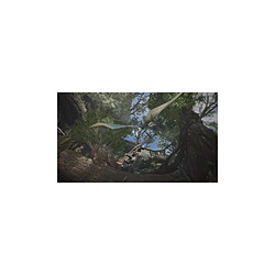 Avis Capcom Monster Hunter World - PS4