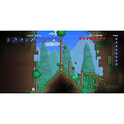 505 Games Terraria