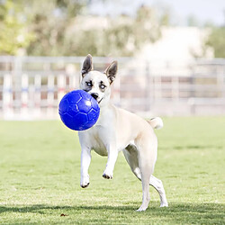 Jouet pour chien