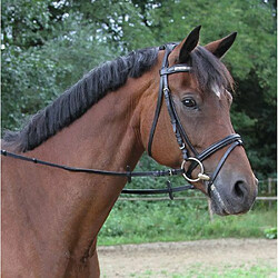 Accessoires éducatif pour chien Kerbl