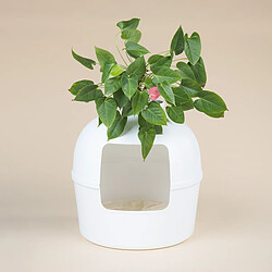 RHR Quality Bac Litière XXL Flower