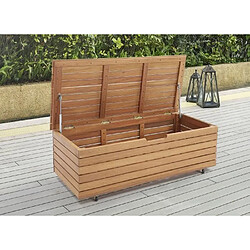 Coffre de jardin Cstore