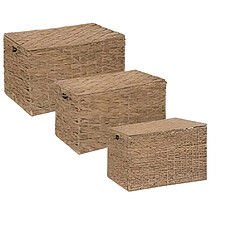 Pegane Set de malles de rangement - Beige