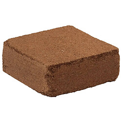 vidaXL Blocs de noix de coco 5 pcs