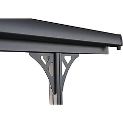 Acheter Habitat Et Jardin Carport voiture Denver - 5.02 x 3.13 x 2.05 m - Transparent / Noir