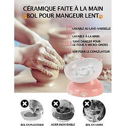 YYHY Bol pour Chat à Alimentation Lente pas cher