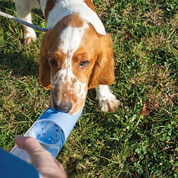 Gamelle pour chien