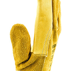 Acheter Manut Espuna - 5 Paires de Gants Cuir, Fleur de Bovin