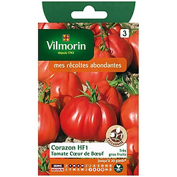 Vilmorin Tomate Coeur de Boeuf Corazon HF1