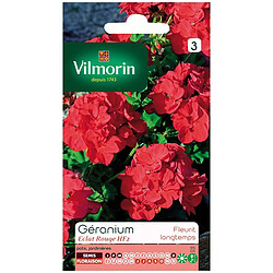 Vilmorin Géranium Éclat Rouge HF2