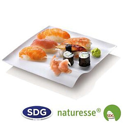 Avis SDG USA Assiette Bioplat® - 500 unités