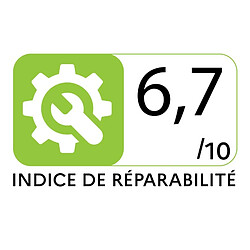 Vito VITOGARDEN Électrique 1800W pas cher