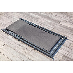 Acheter Concept Usine Lot de 2 transats alu gris TEVATA