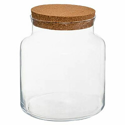 Bovaj Terrarium Transparent