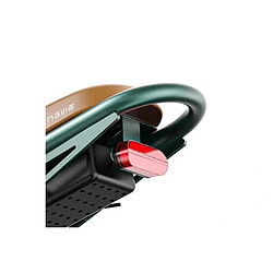 Acheter Engwe M20 - Vert foncé