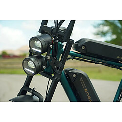 Avis Engwe M20 - Vert foncé