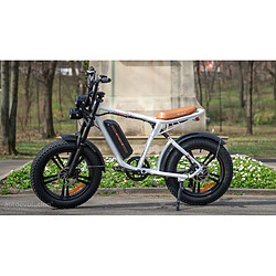 Avis Engwe M20 - Noir et blanc