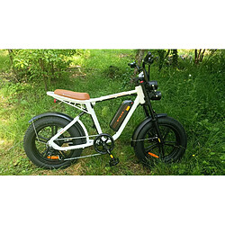 Acheter Engwe M20 - Noir et blanc