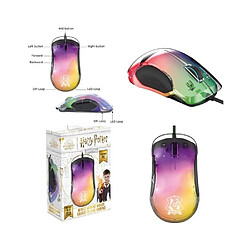 Freaks and Geeks Souris Gaming Harry Potter