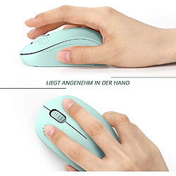 Souris