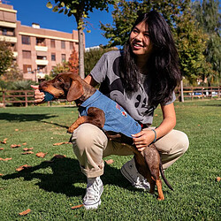 Disney Veste pour Chien Minnie Mouse - Bleu XXS