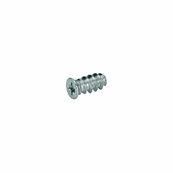 Vis directe HETTICH - 6,3 x 11 mm