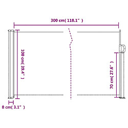 vidaXL Auvent latéral rétractable anthracite 100x300 cm pas cher