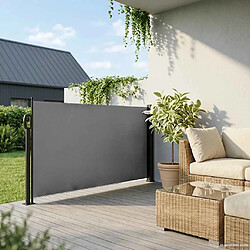 Avis vidaXL Auvent latéral rétractable anthracite 100x300 cm