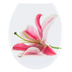 Wenko Orchidée
