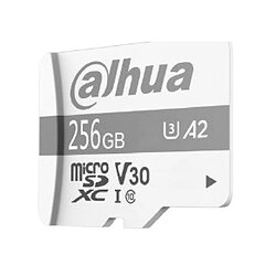 Dahua DHI-TF-P100/256GB