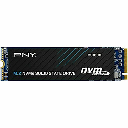 PNY CS1030