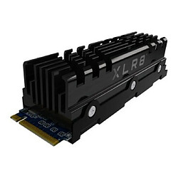 PNY CS3040HS - 500 Go