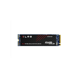 PNY CS3040HS - 500 Go
