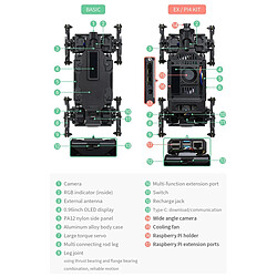 Avis Chien Robot Bionique Détection de Mouvement Vidéo en Temps Réel YONIS